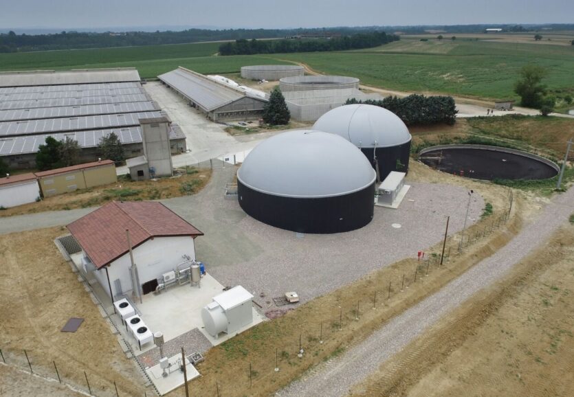 WhatsApp-Image-2020-07-02-at-11.17.48